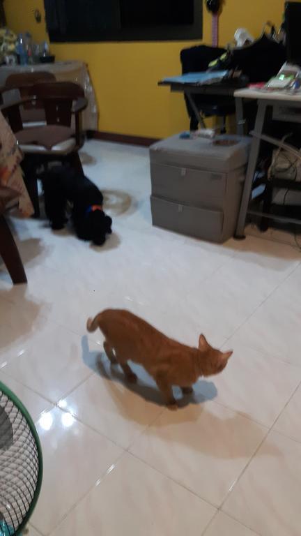 홈 반 치앙마이 외부 사진
